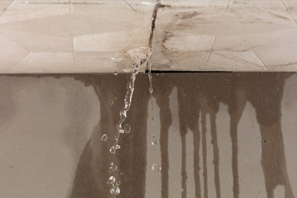 Professional Burst Pipe Cleanup technician working in Dodd City, TX